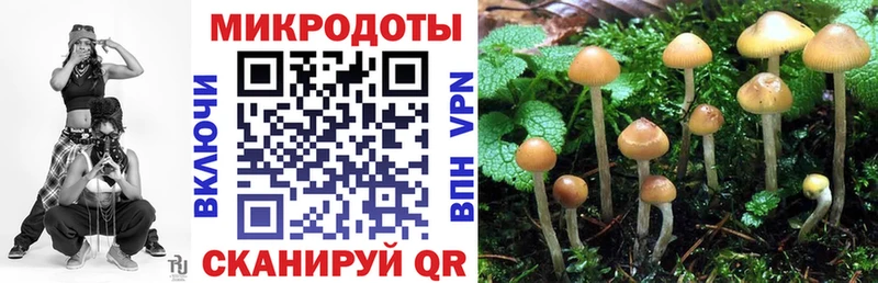 Псилоцибиновые грибы Magic Shrooms  купить наркотик  Янаул 